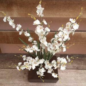 ONCIDIUM CHUVA DE  PRÉTA
