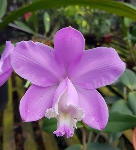 f2d0ec98d5-1.jpg f2d0ec98d5 1