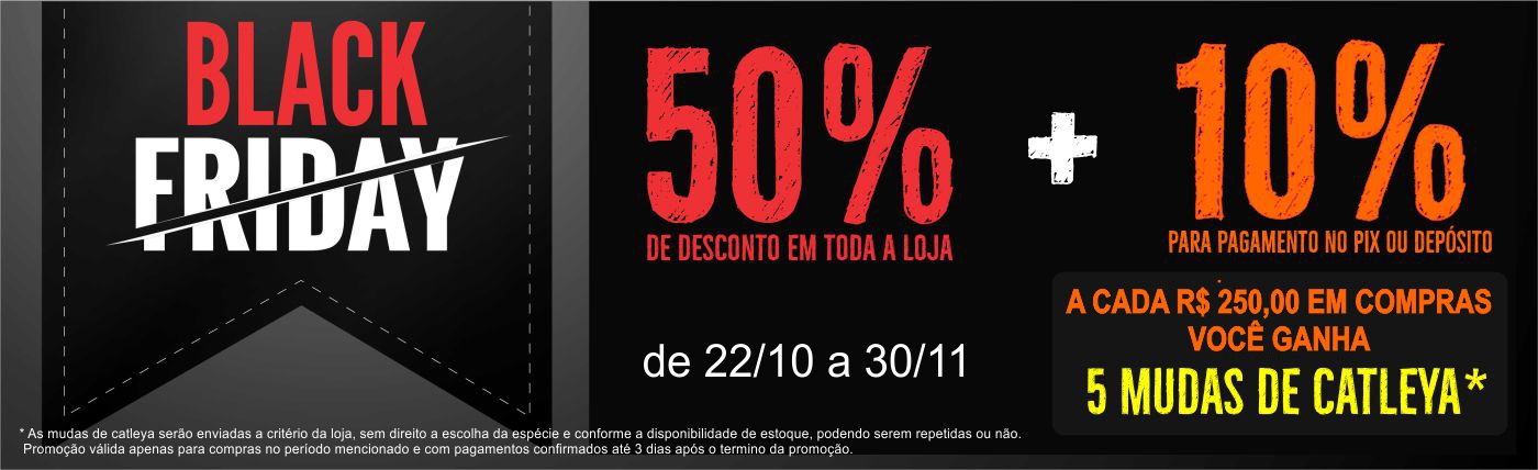 Orquideas 1 Black Fridaycompremudas2024