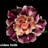 ROSA DO DESERTO GOLDEN FAITH 5 884061 MLB27583697286 062018 O 1