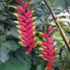 MINI 1