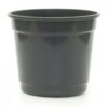 VASO 7 1