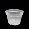 Vaso Transp 1
