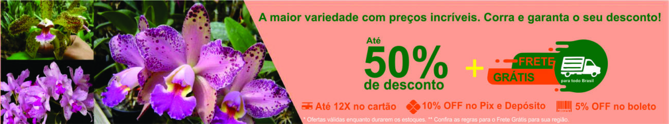 banner compremudas 1640x305 1